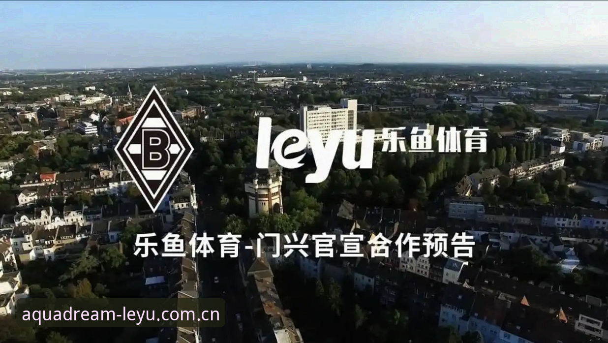 乐鱼体育平台全面评测：从官网体验到APP功能的全解析报告